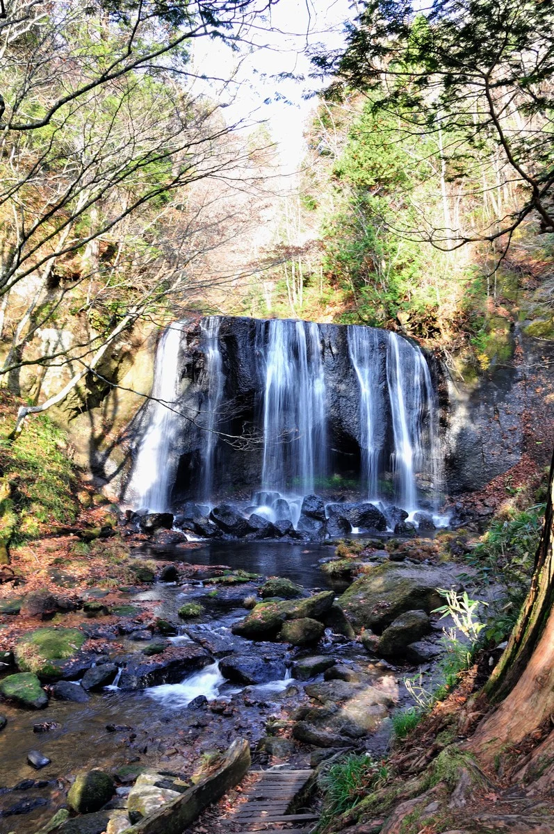 dsc_0096s