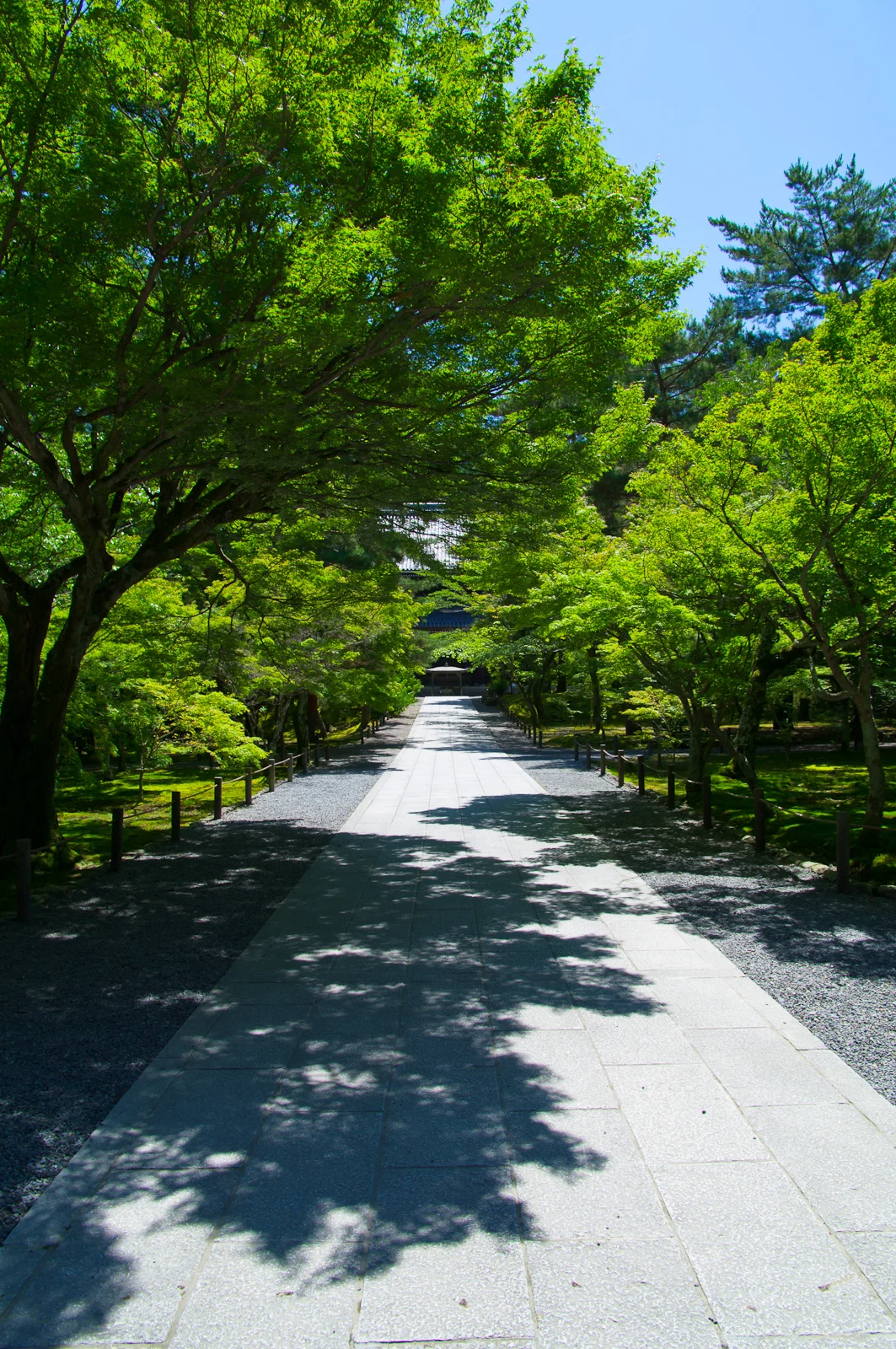 IMGP0013-2