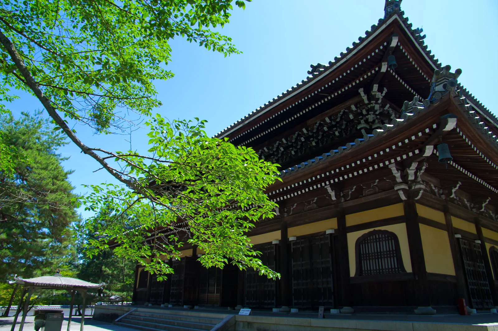 IMGP0022-2