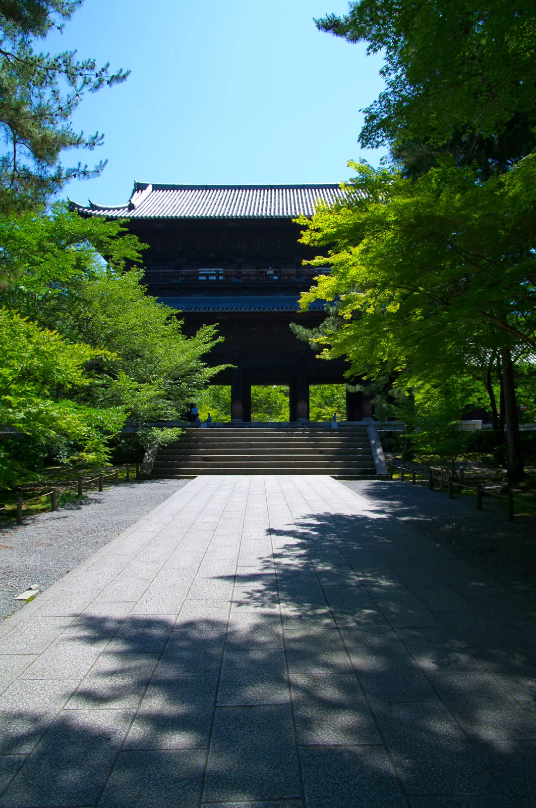 IMGP0022
